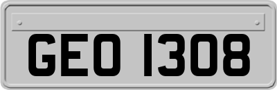 GEO1308