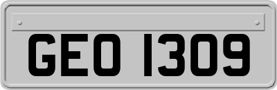 GEO1309