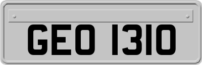 GEO1310