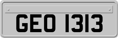 GEO1313