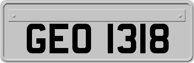 GEO1318