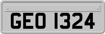 GEO1324