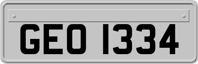 GEO1334