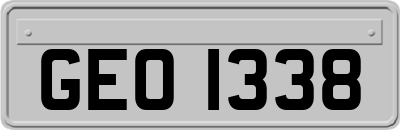 GEO1338