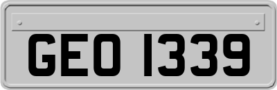 GEO1339