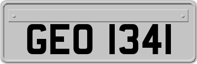 GEO1341