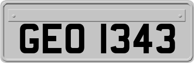 GEO1343