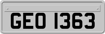 GEO1363