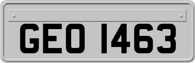 GEO1463