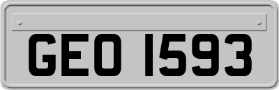 GEO1593