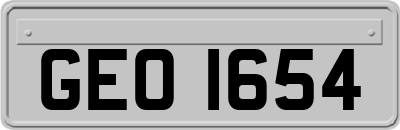 GEO1654