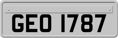 GEO1787