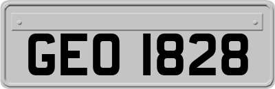 GEO1828