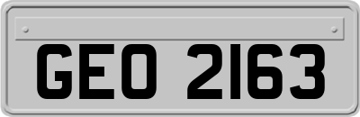 GEO2163