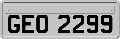 GEO2299
