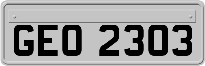 GEO2303