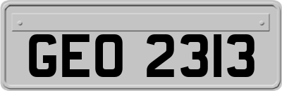 GEO2313