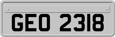 GEO2318