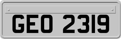GEO2319
