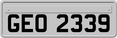 GEO2339
