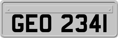 GEO2341