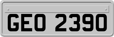 GEO2390