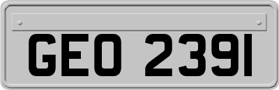 GEO2391