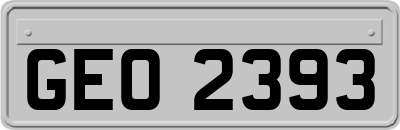 GEO2393