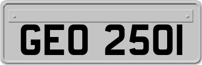 GEO2501