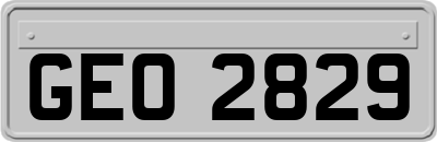 GEO2829