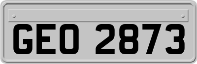 GEO2873