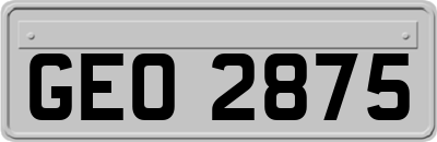 GEO2875