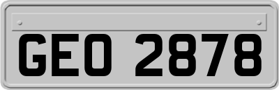 GEO2878