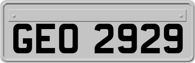 GEO2929