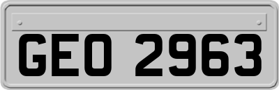 GEO2963