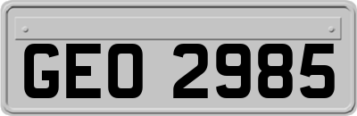 GEO2985