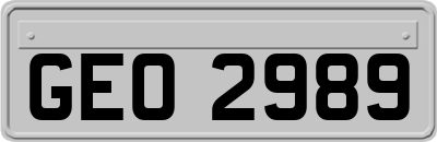 GEO2989