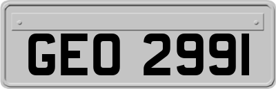 GEO2991