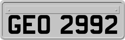GEO2992