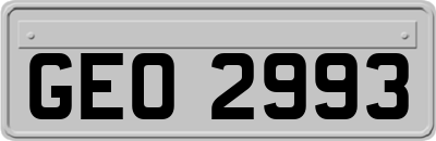 GEO2993