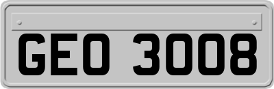 GEO3008