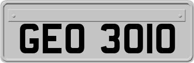 GEO3010
