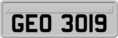 GEO3019