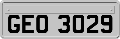 GEO3029