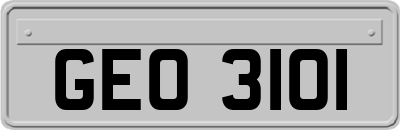 GEO3101