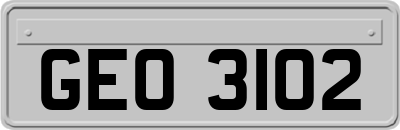 GEO3102