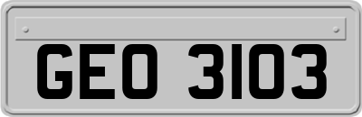 GEO3103