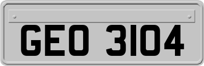 GEO3104