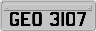 GEO3107