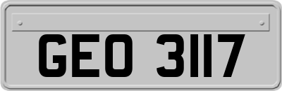 GEO3117